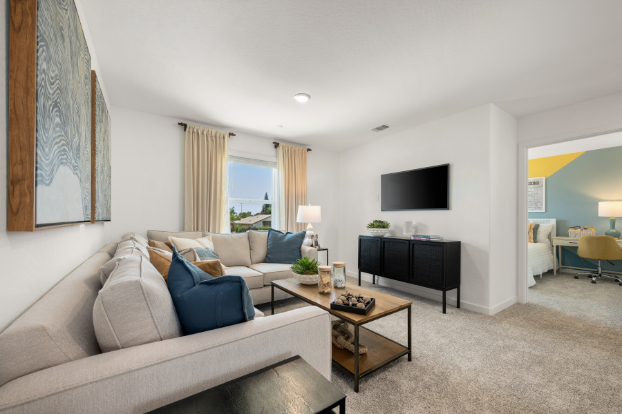 A living room with a tv and couches.