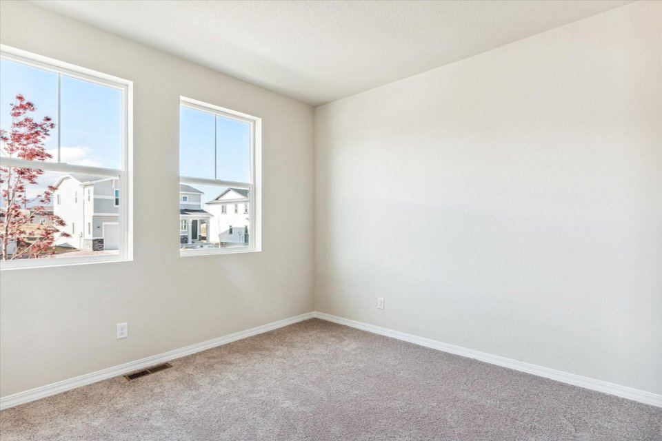 A room with windows and a carpet.