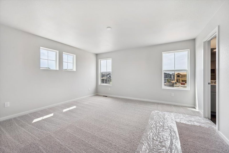 A room with a carpet and windows.