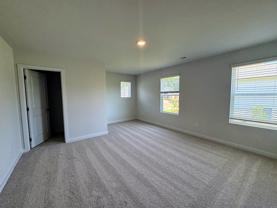 A room with a carpet and windows.
