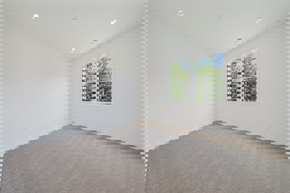 A room with a carpet and windows.