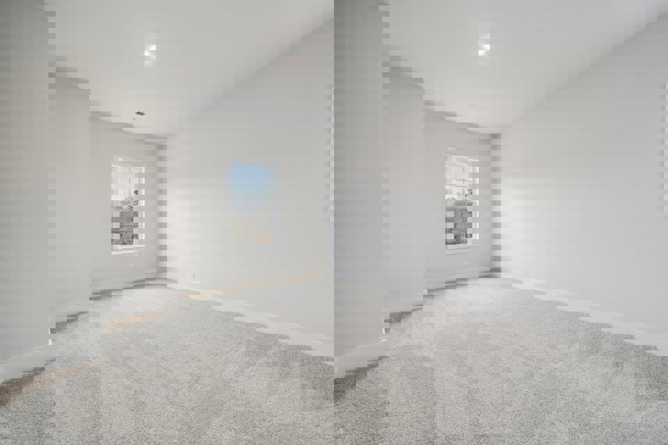 A room with a carpet and a window.