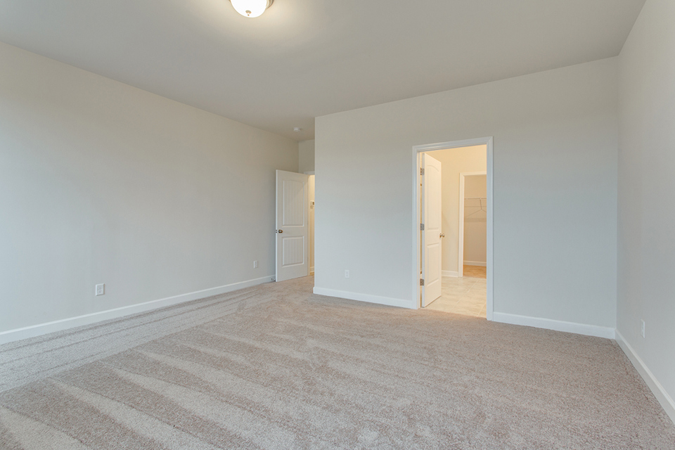 A room with a carpet and a door.