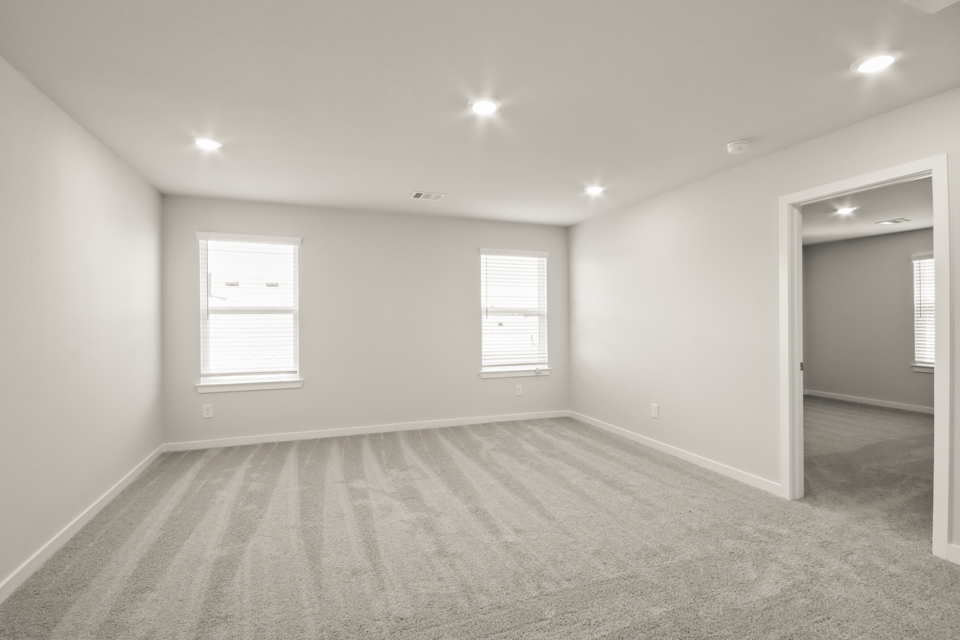 A room with a carpet and windows.