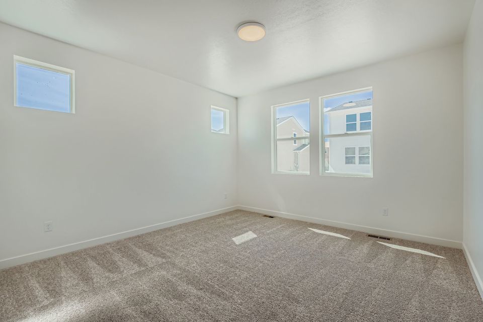 A room with a carpet and windows.