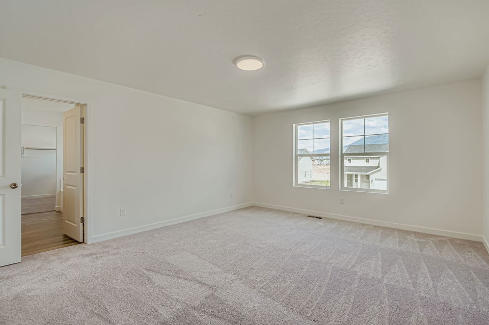 A room with a carpet and windows.