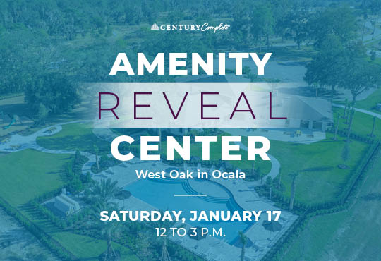 A road with trees and a sign.